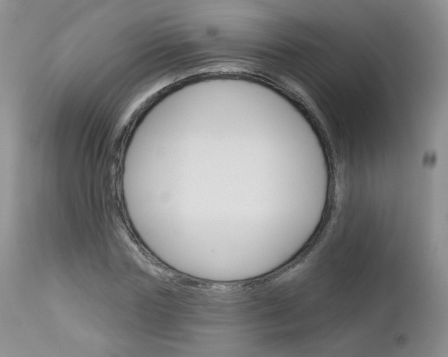 X0000113100827200908280950