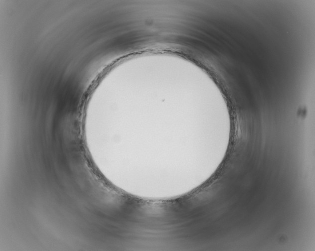 X0000113100828200908280950