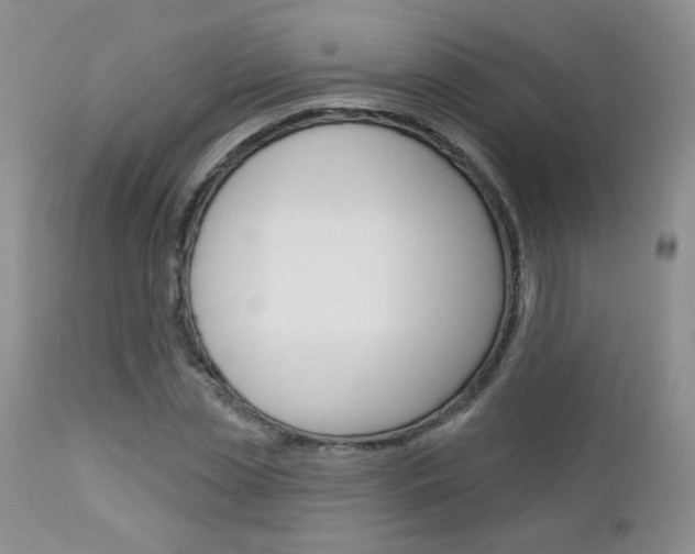X0000113100829200908280950
