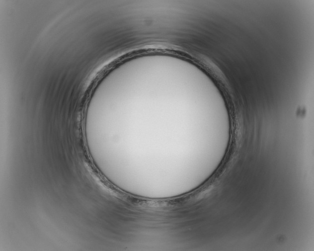X0000113100831200908280950