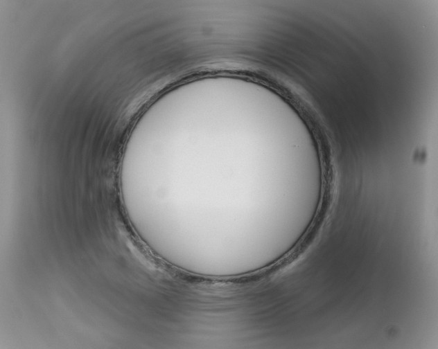 X0000113100833200908280950