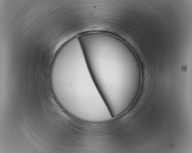X0000113100834200908280950