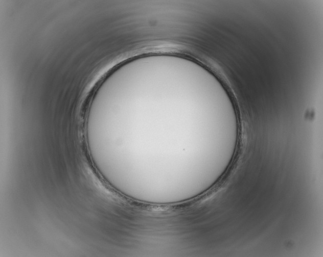 X0000113100835200908280950