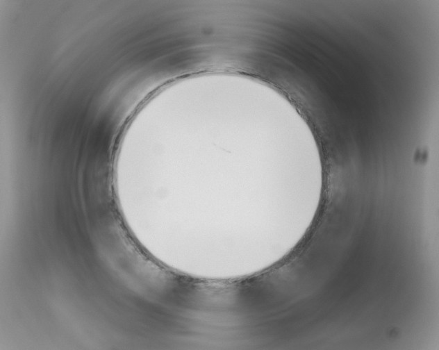 X0000113100836200908280950