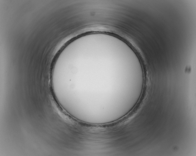X0000113100837200908280950