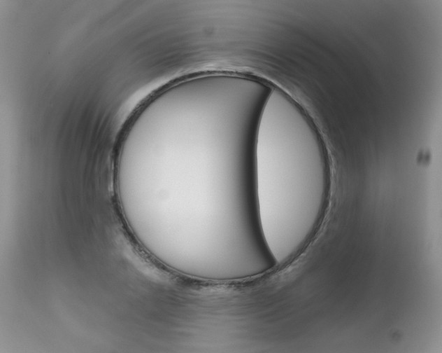 X0000113100838200908280950
