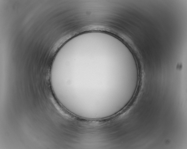 X0000113100841200908280950
