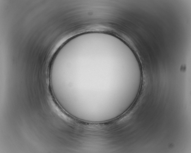 X0000113100843200908280950