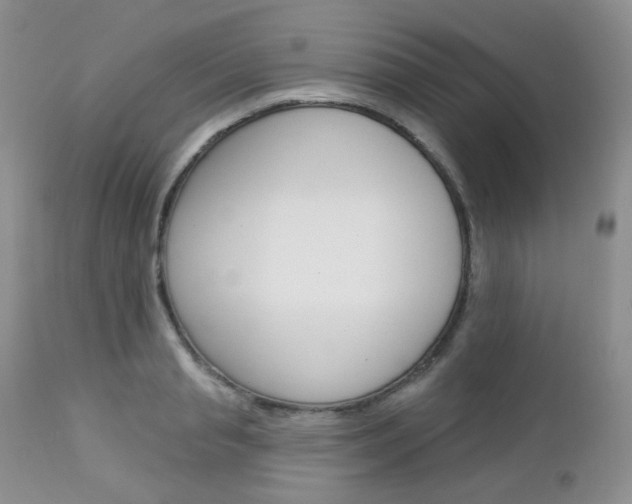 X0000113100845200908280950