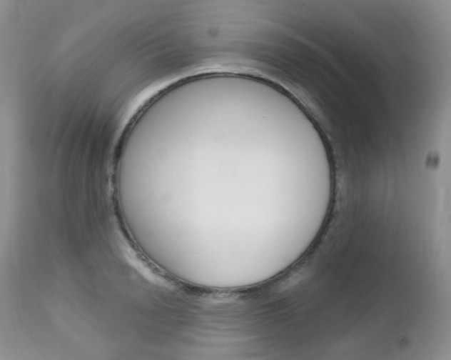 X0000113100846200908280950