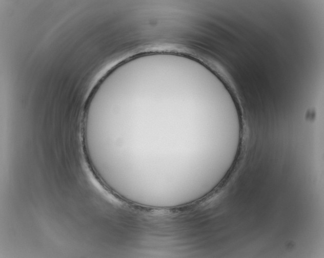 X0000113100847200908280950