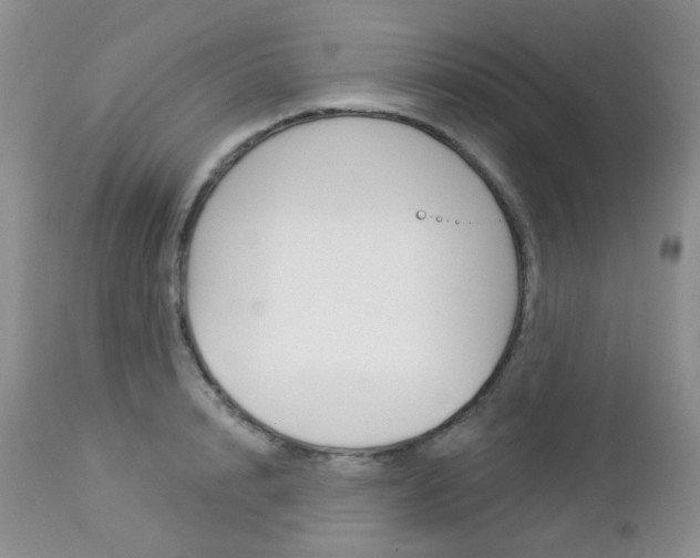 X0000113100848200908280950