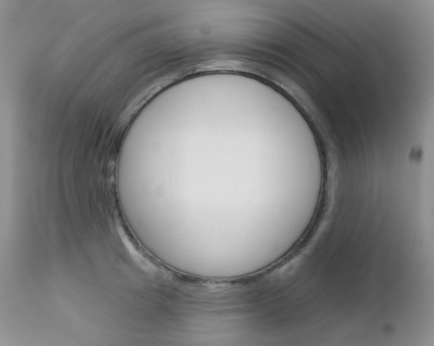 X0000113100849200908280950