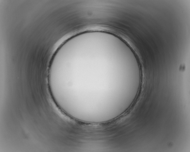 X0000113100853200908280950