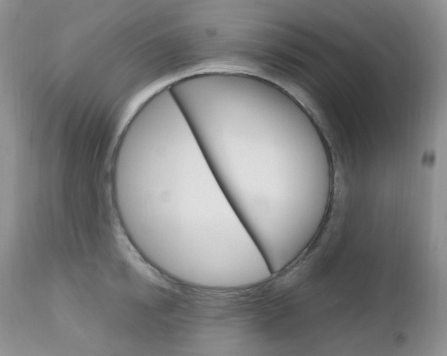 X0000113100854200908280950