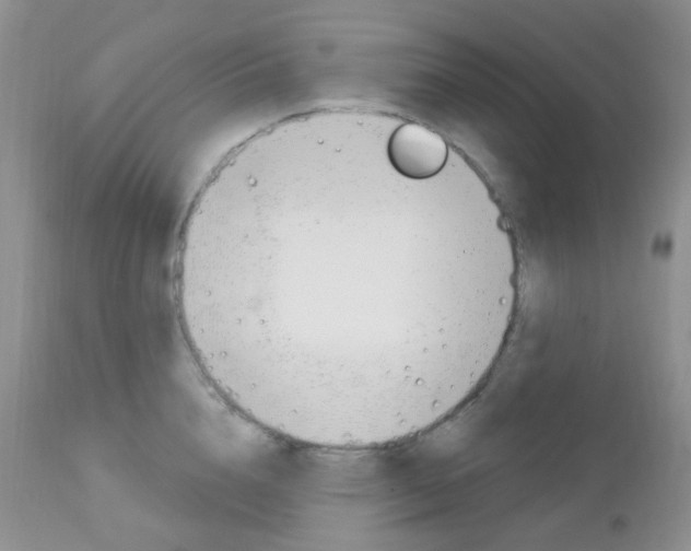 X0000113100856200908280950