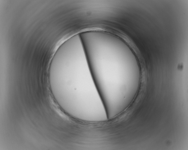 X0000113100858200908280950