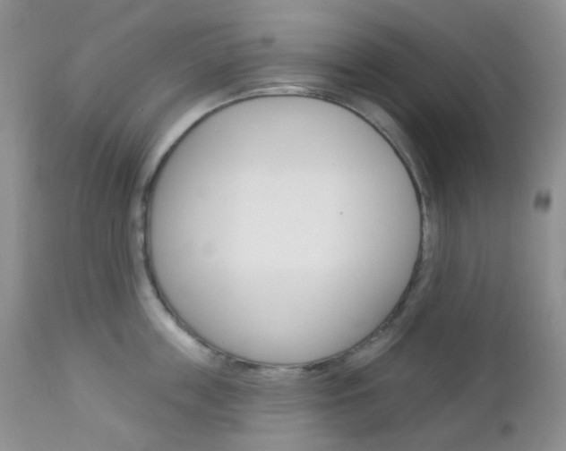X0000113100859200908280950