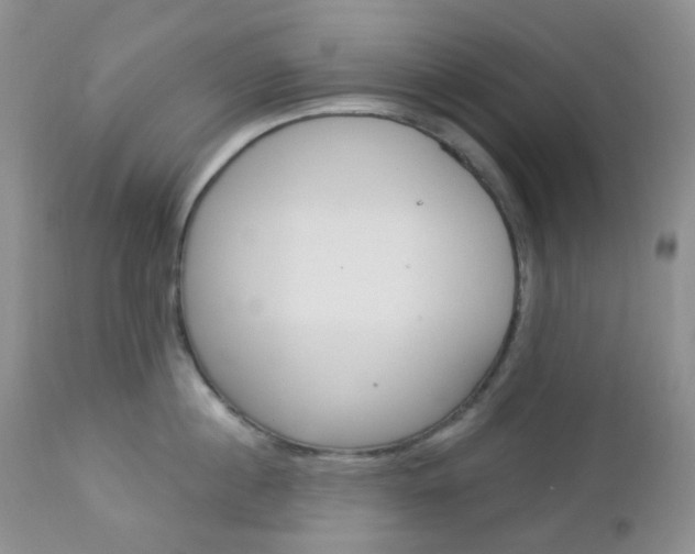 X0000113100860200908280950
