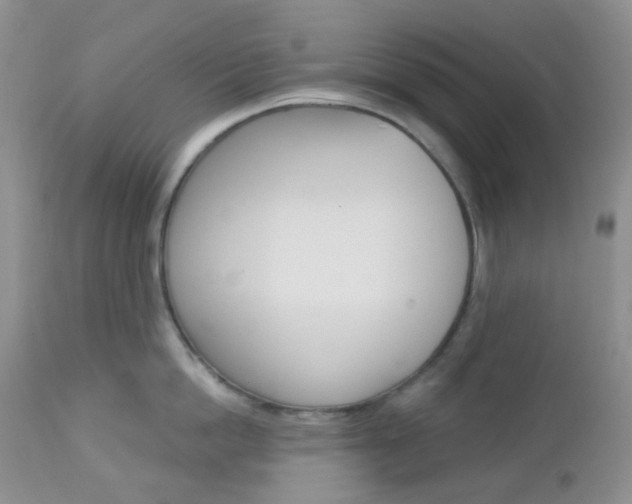 X0000113100862200908280950