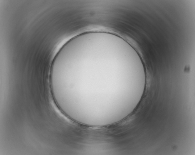 X0000113100863200908280950