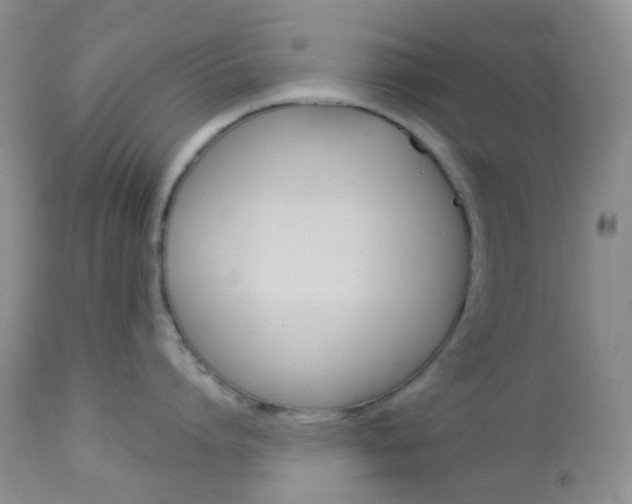 X0000113100864200908280950