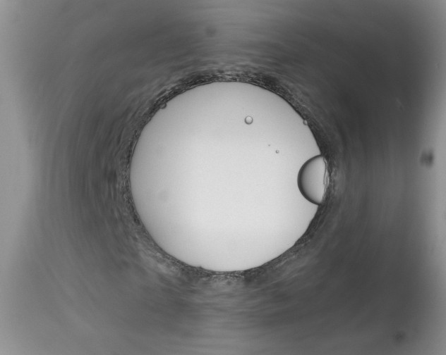 X0000113100865200908280949