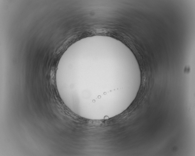 X0000113100866200908280949