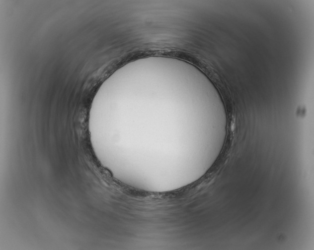 X0000113100867200908280949