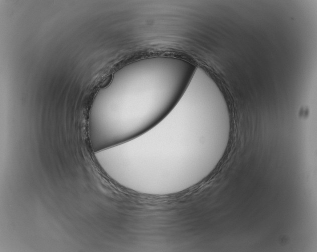 X0000113100868200908280949