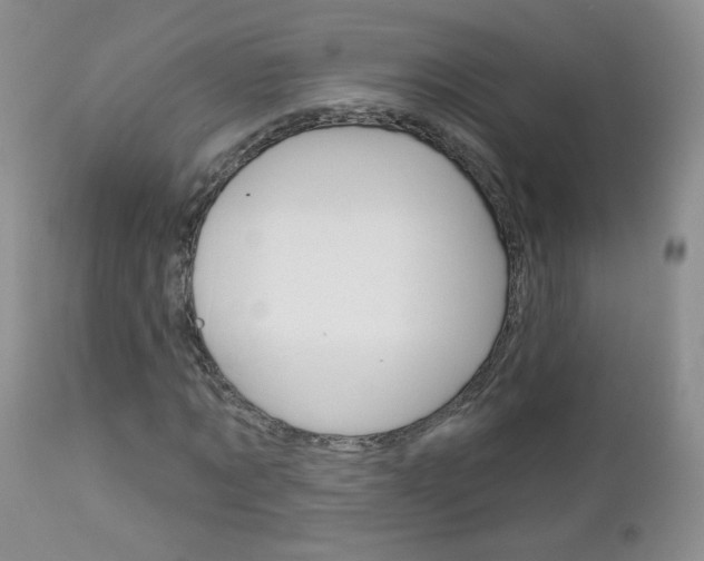 X0000113100869200908280949