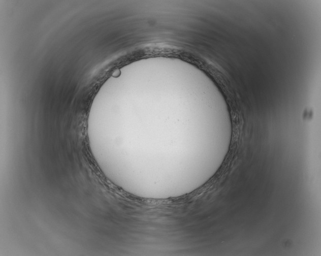 X0000113100870200908280949