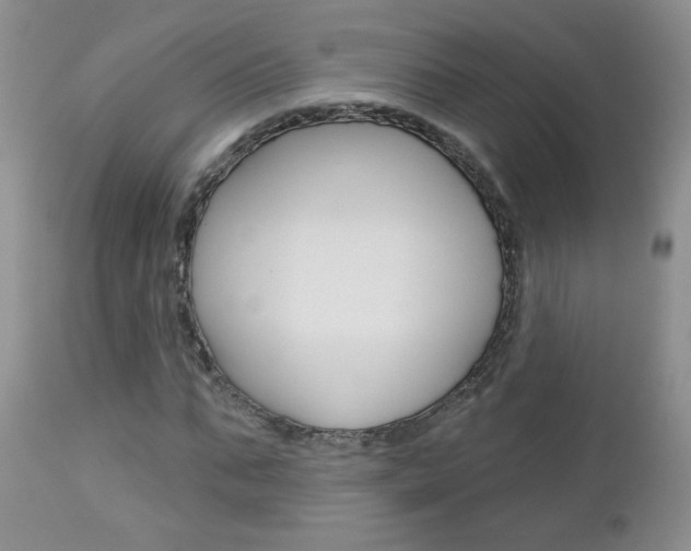 X0000113100871200908280949