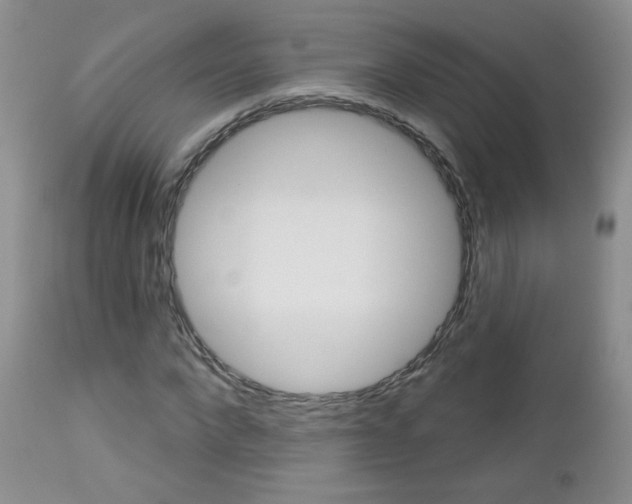 X0000113100872200908280949