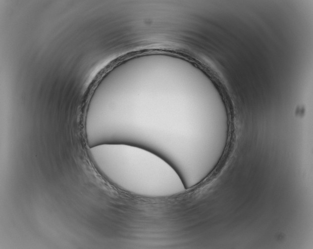 X0000113100875200908280949