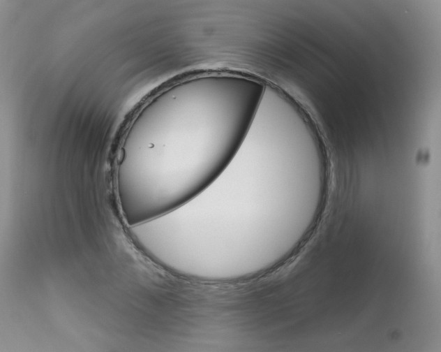 X0000113100876200908280949