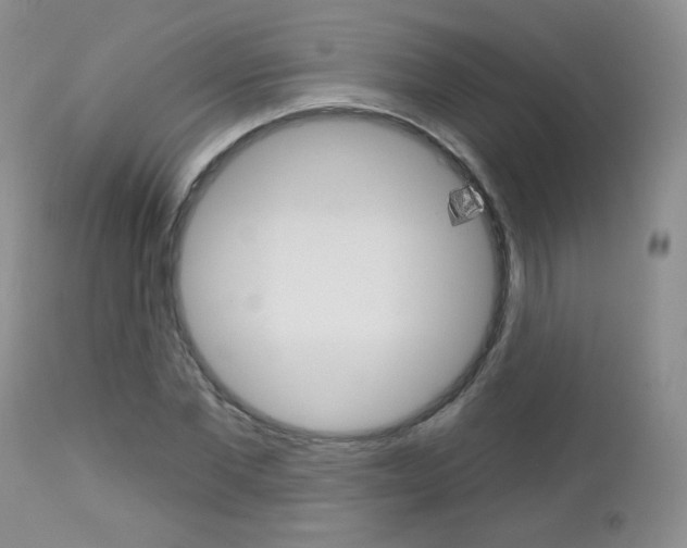 X0000113100877200908280949