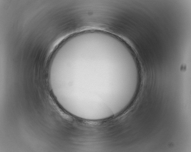 X0000113100878200908280949