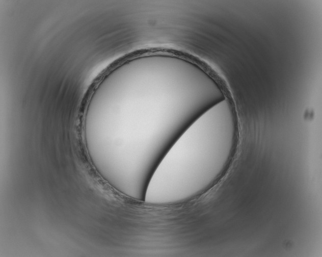 X0000113100879200908280949