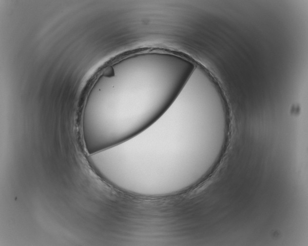 X0000113100880200908280949