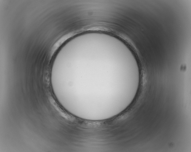 X0000113100882200908280949