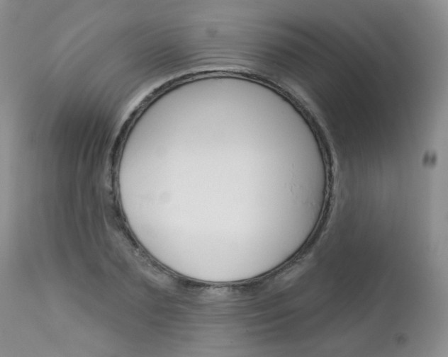 X0000113100883200908280949
