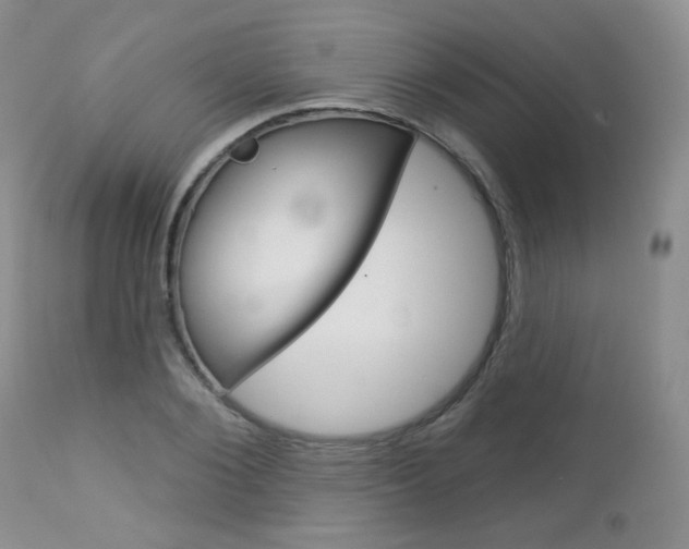 X0000113100884200908280949