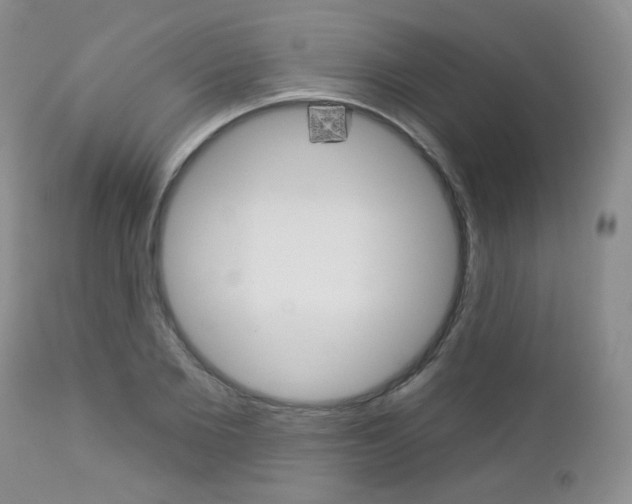 X0000113100885200908280949