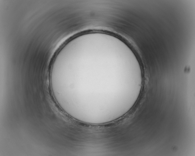 X0000113100887200908280949