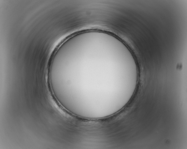X0000113100888200908280949