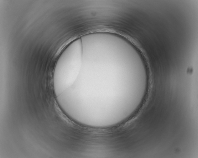 X0000113100889200908280949