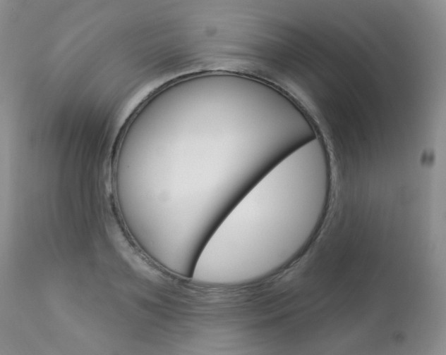 X0000113100891200908280949