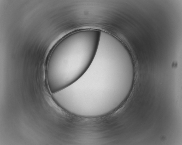 X0000113100892200908280949