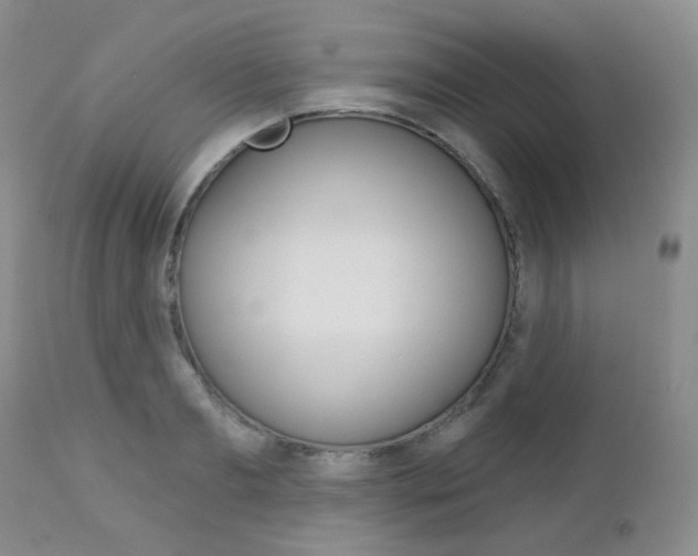 X0000113100893200908280949